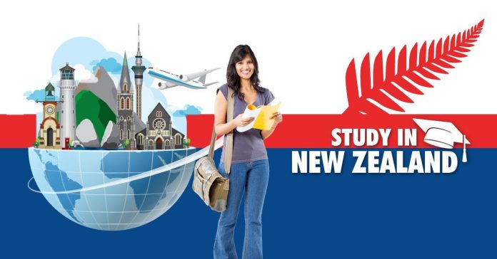 study New Zealand