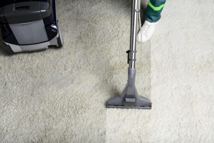 An Expert's Guide to Removing Pet Stains From Carpet