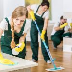 House cleaning professionals