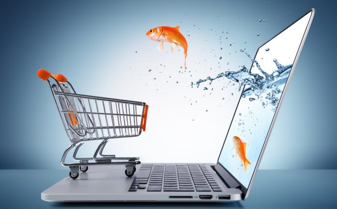 Understanding the Complex SEO Challenges Faced by an E-commerce Website