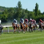 Horse Racing an Exciting Sport