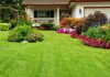 How to Get a Greener Lawn A Guide for Homeowners