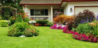 How to Get a Greener Lawn A Guide for Homeowners