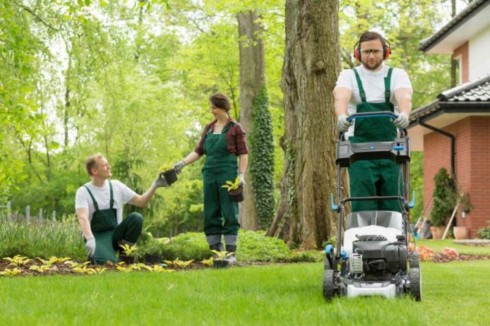 Top Reasons You Should Hire Professional Gardening Services