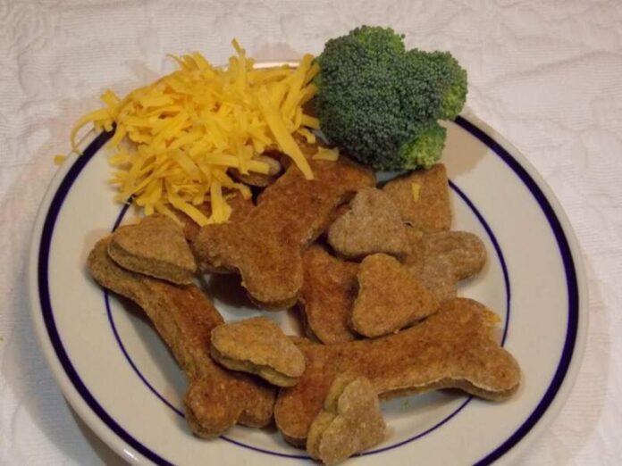 How Much Broccoli Can Dogs Eat