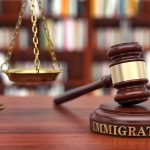 Immigration Lawyer