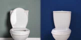 Comfort Height Toilet