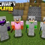 Minecraft Multiplayer