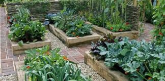 Great Ways to Make Your Garden a Healthier Place to Be