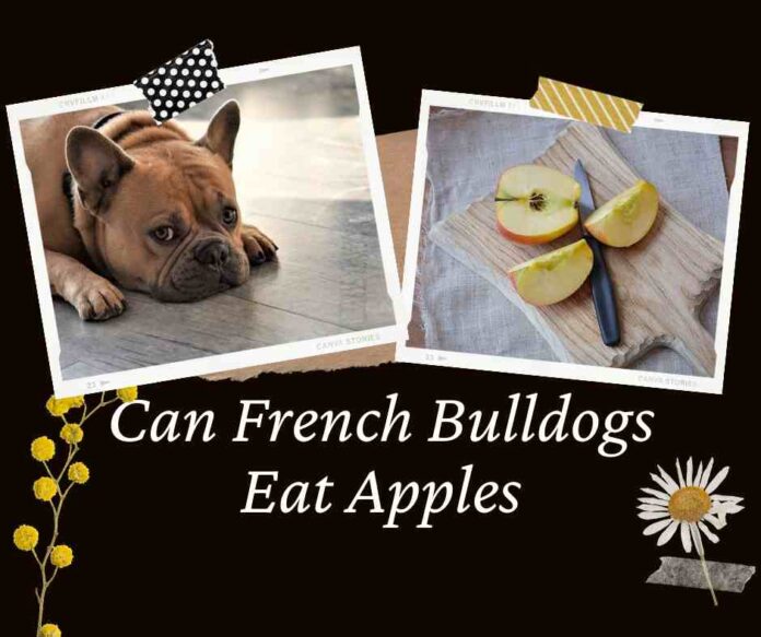 Can French Bulldogs Eat Apples