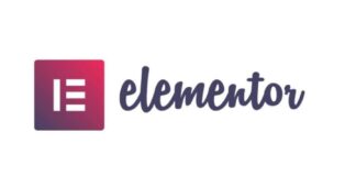 WordPress Elementor Themes