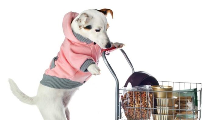 Buy Dog Supplies