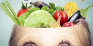 Best Foods Improve Your Brain