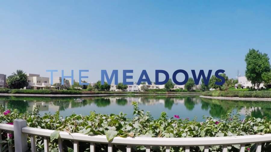 The Meadows 