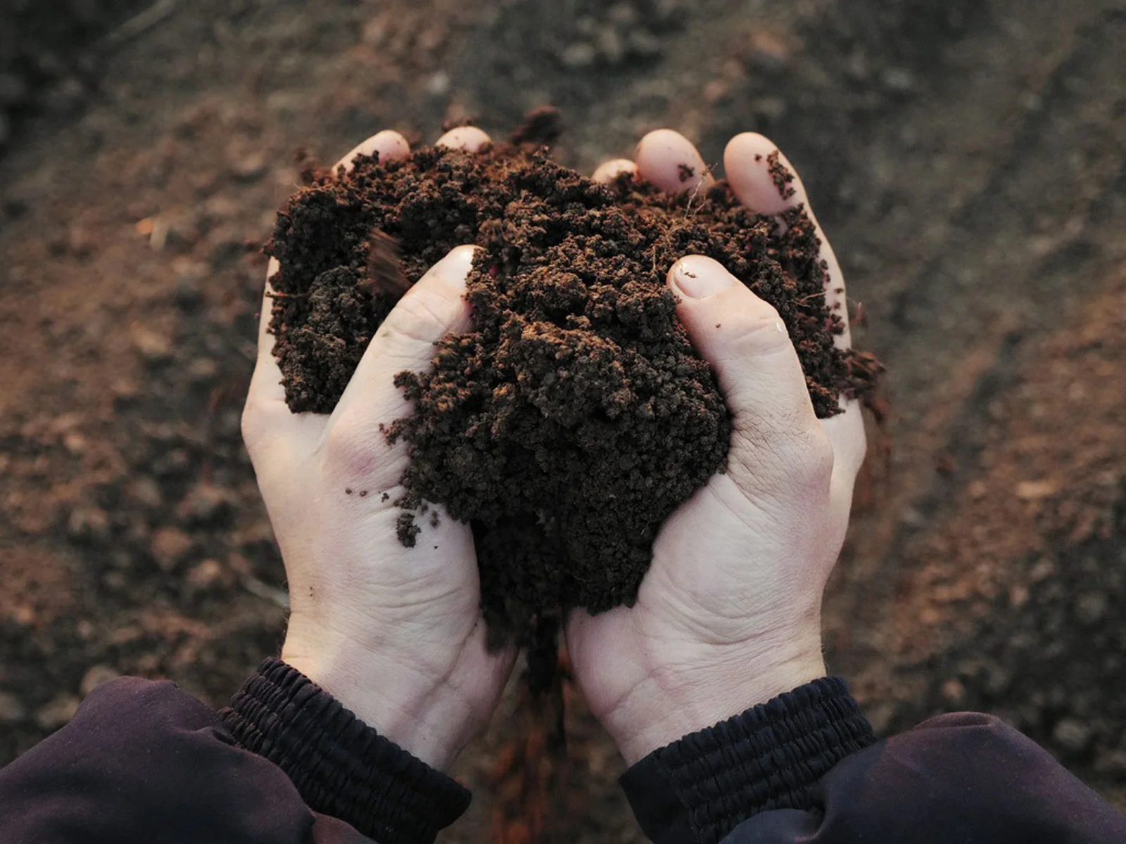 Nurture the soil