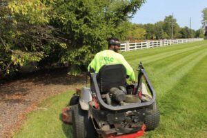 Lawn Mower near me Repair Professional