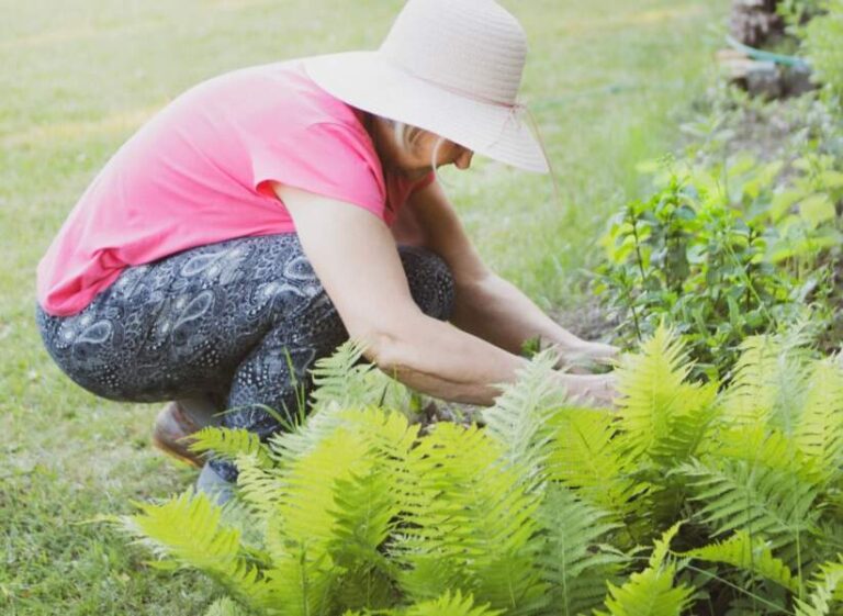 The 5 Most Annoying Things Youll Encounter While Gardening