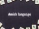 Amish Language