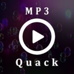 Mp3 Quack Music – Download Apps on Google Play