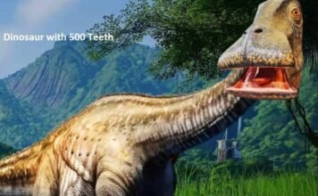 Dinosaur with 500 Teeth