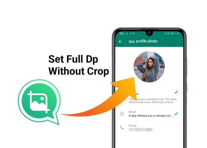 How to Set WhatsApp DP