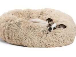 calming dog bed