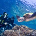 Liveaboard options and multi-day dive safaris