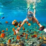 Snorkeling trips and non-diver activities