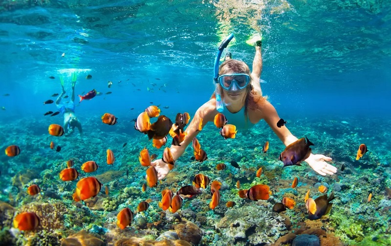 Snorkeling trips and non-diver activities