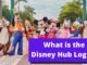 the Hub Disney