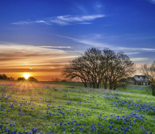 Buying land in Texas