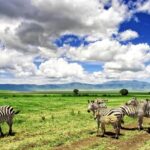 Ngorongoro Conservation Area