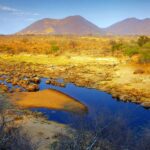 Ruaha National Park