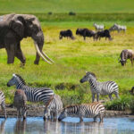 Serengeti National Park