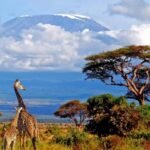 Tourist Spots in Tanzania