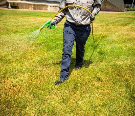 Weed Control Service