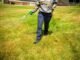 Weed Control Service