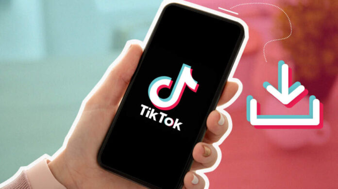 TikTok Video Downloaders