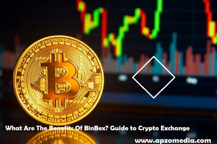 What is BinBex