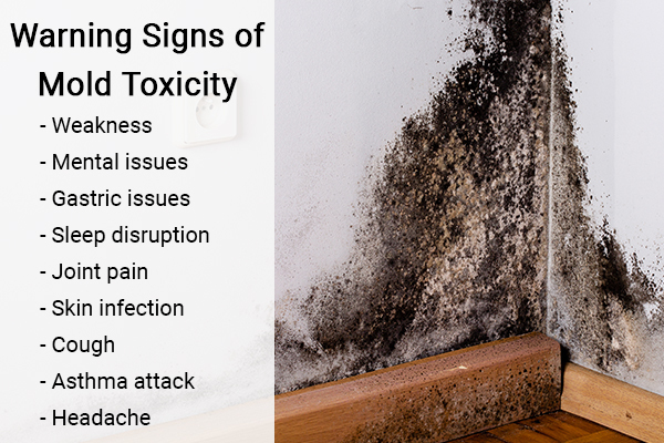 10 Signs Of Mold Toxicity