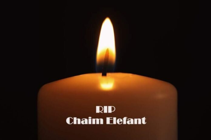 Chaim Elefant