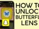 unlock the butterflies lens on snapchat