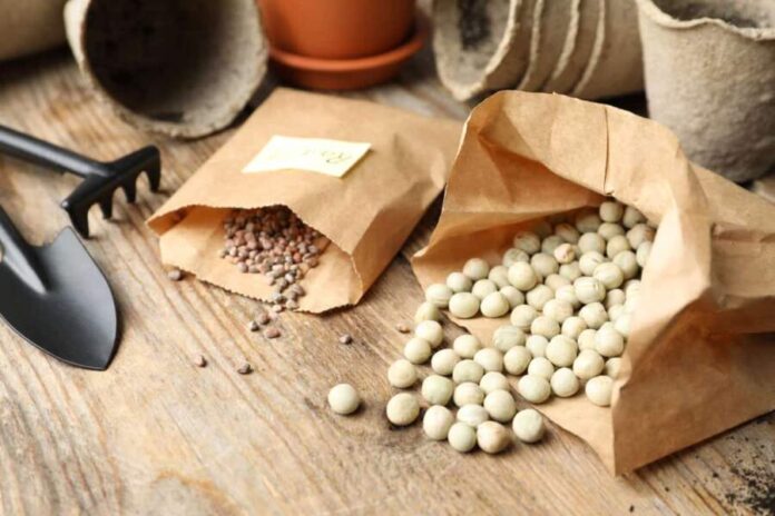 How to Source Sustainable Seeds Online