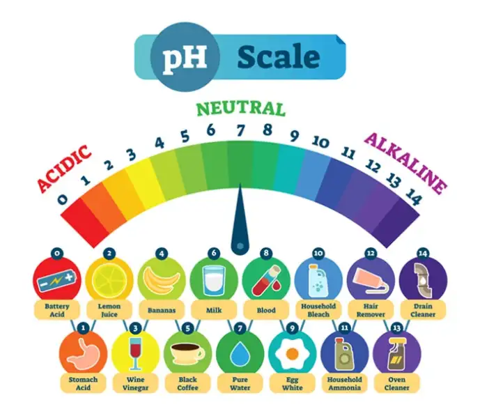 Signs of an Imbalanced pH